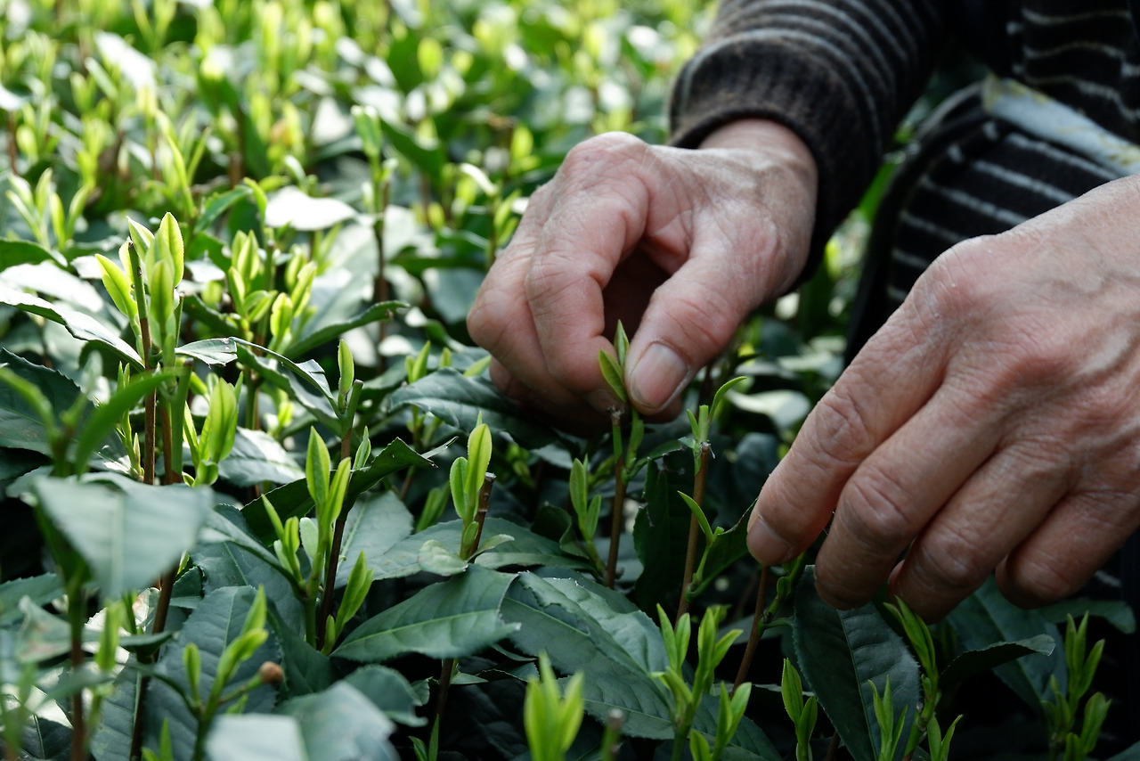 WeChat Image_20200312214629.jpg