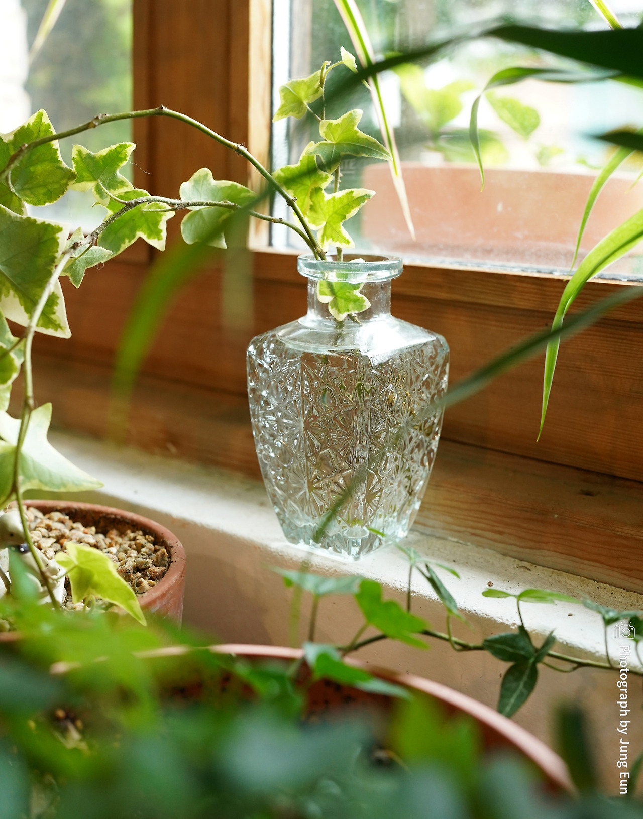 사이즈조정보니비카페 (9).jpg