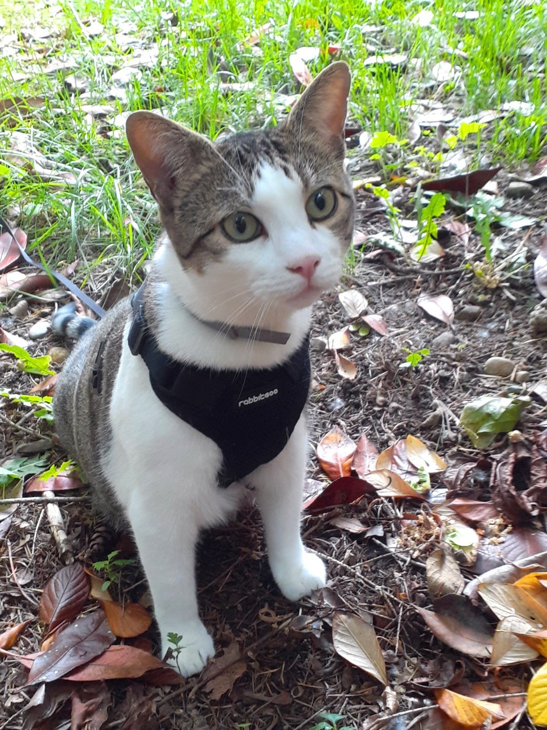 KakaoStory_2024_10_22 11_21_01.jpg