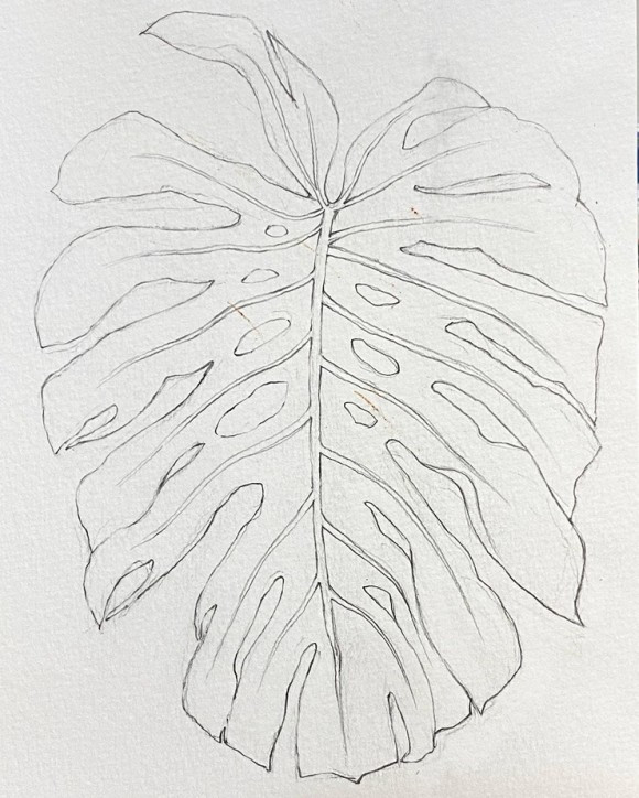 20220516 사람류모라성장기 1.jpg