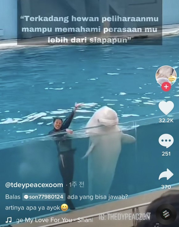 20211224 벨루가 안전 틱톡댓글 1.jpg