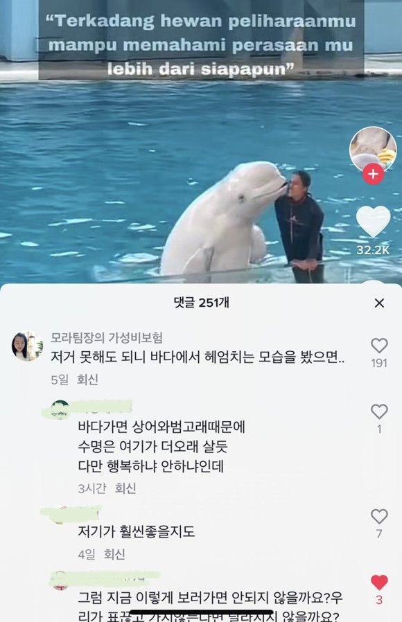 20211224 벨루가 안전 틱톡댓글 2.jpg
