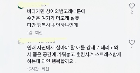 20211224 벨루가 안전 틱톡댓글 3.jpg