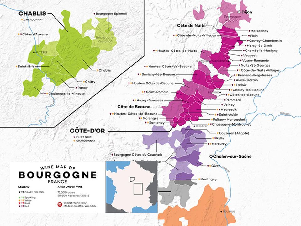 burgundy-wine-guide-map(winefolly).jpg