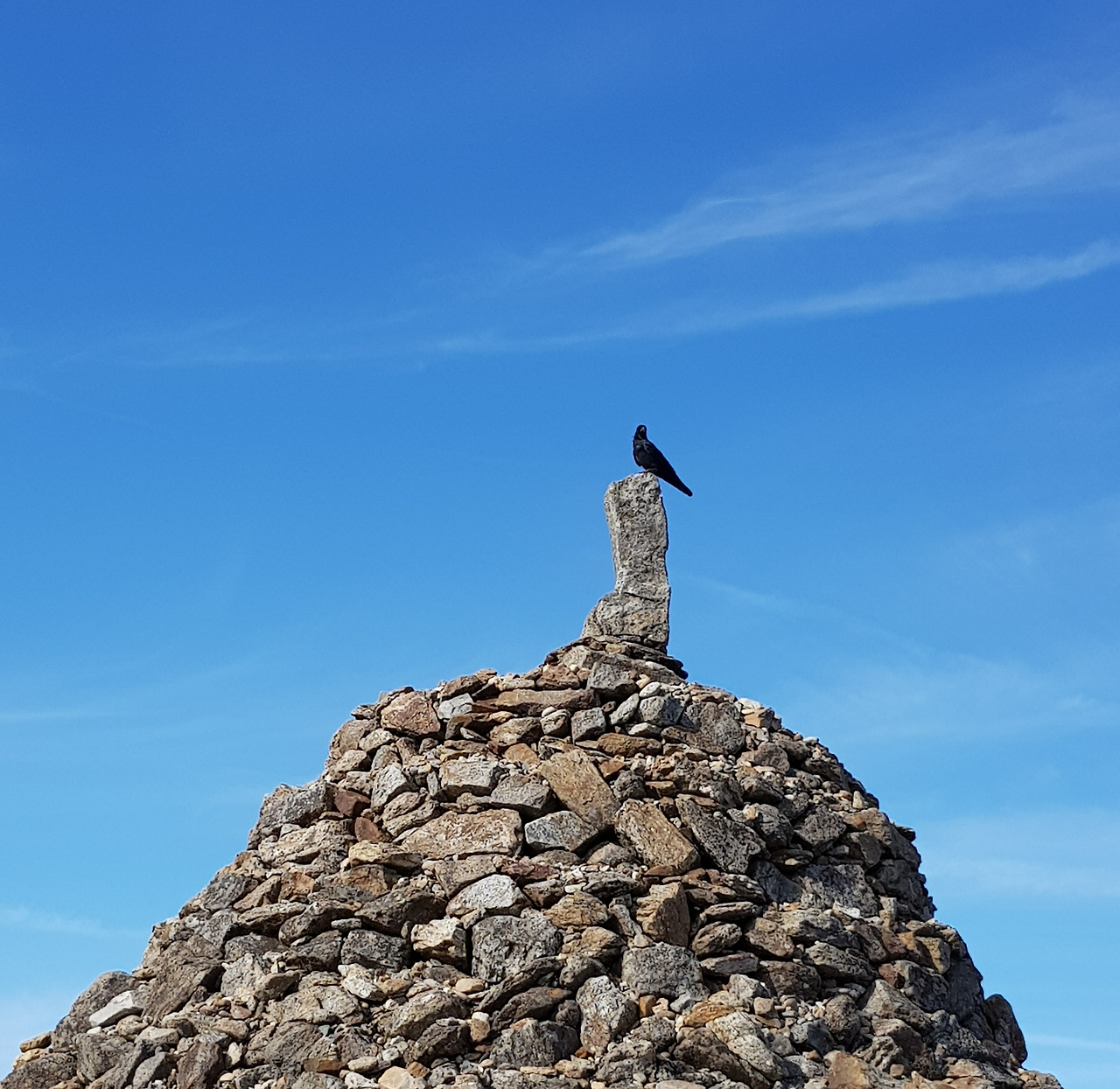 20191225_노고단 까마귀.jpg