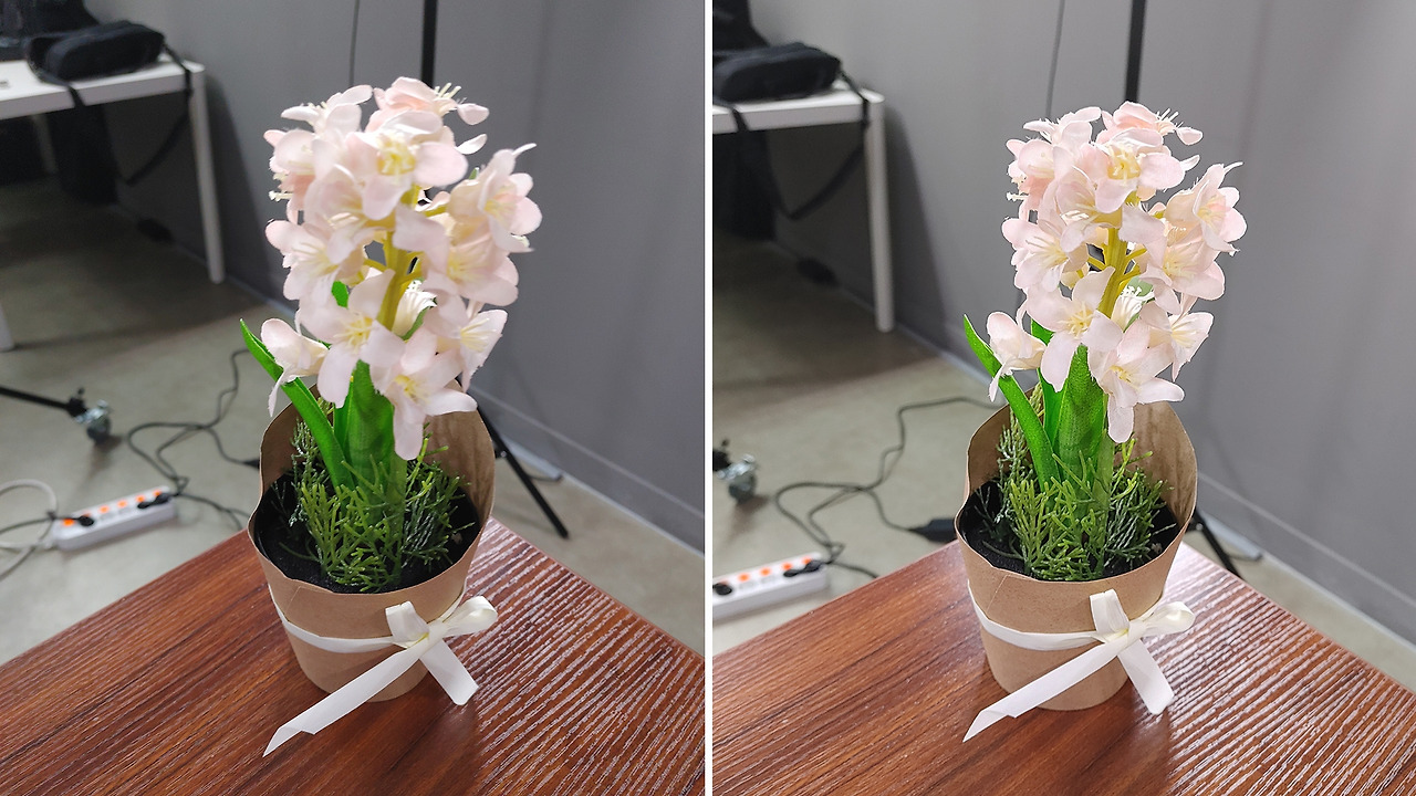 꽃_4800만 화소 vs 1200만 화소.jpg