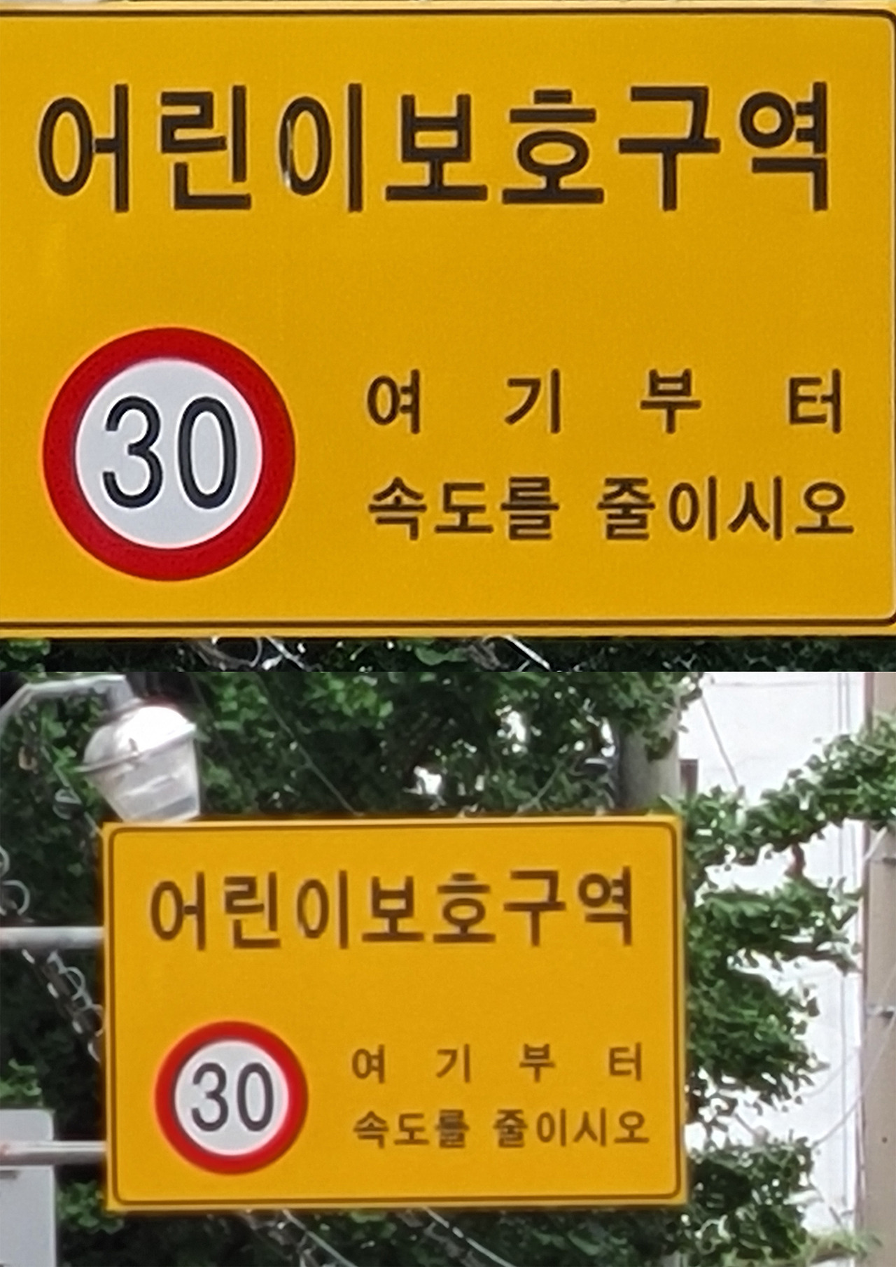 노트20 울트라 50배줌&노트20일반 30배줌.jpg