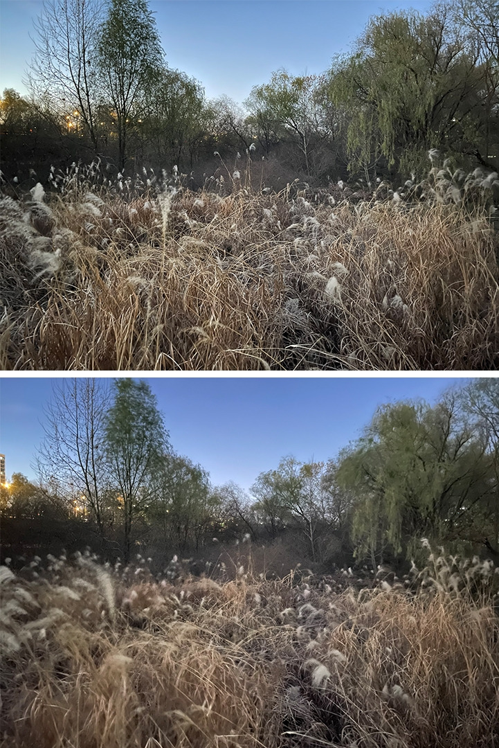 프로 맥스 야간 어두운 일반 vs 프로 야간 어두운 광각.jpg