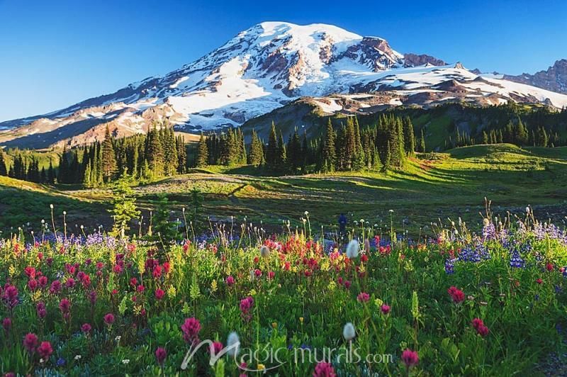 pinterest_national park.jpg