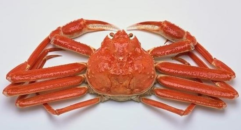 제 다리가 대나무같나요... 이미지 출처 Digital Today.jpg