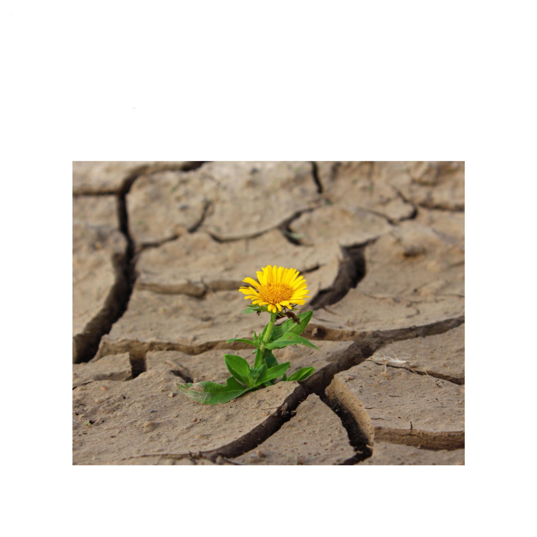 제목을-입력해주세요_-001 (4).jpg