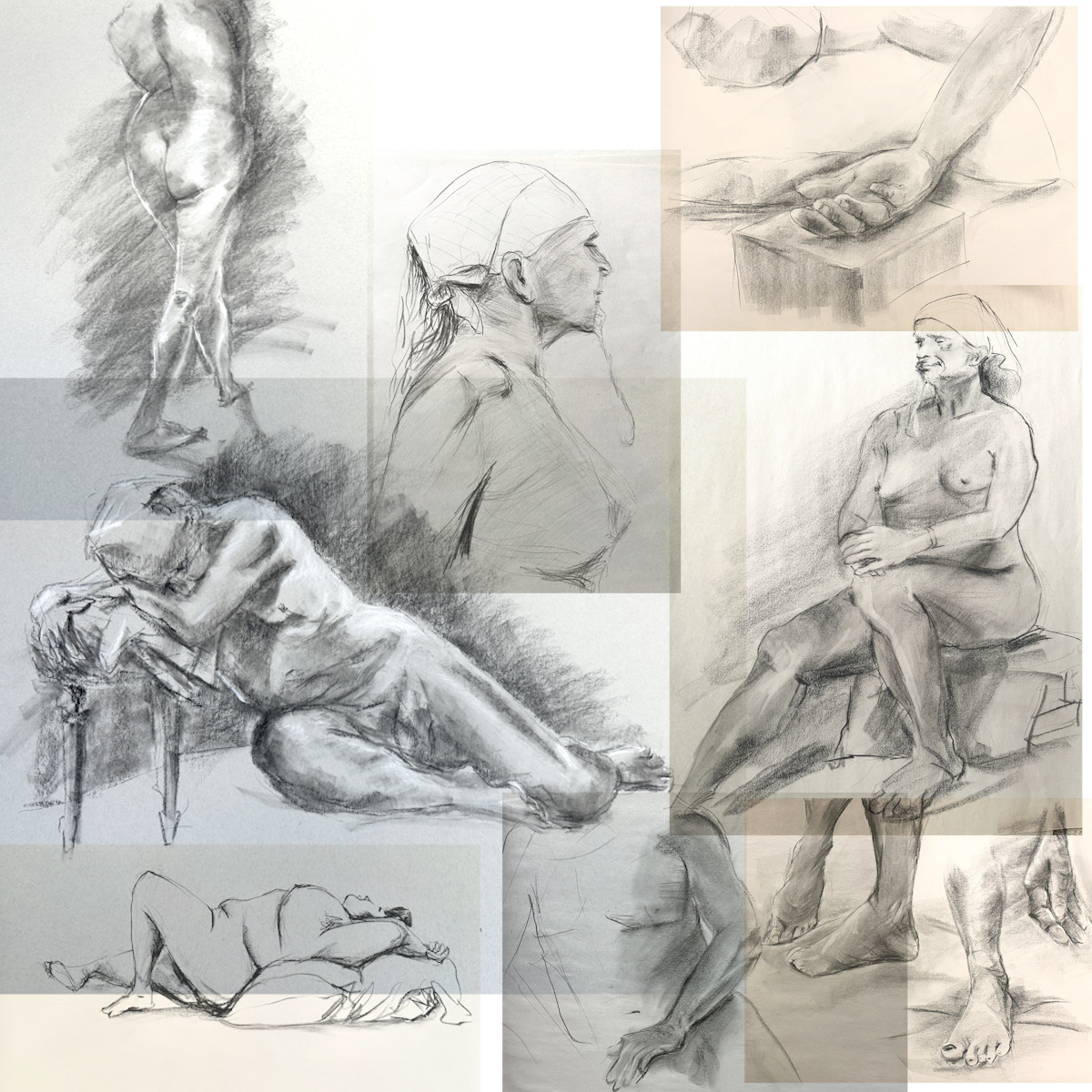 lifedrawing collection.jpg