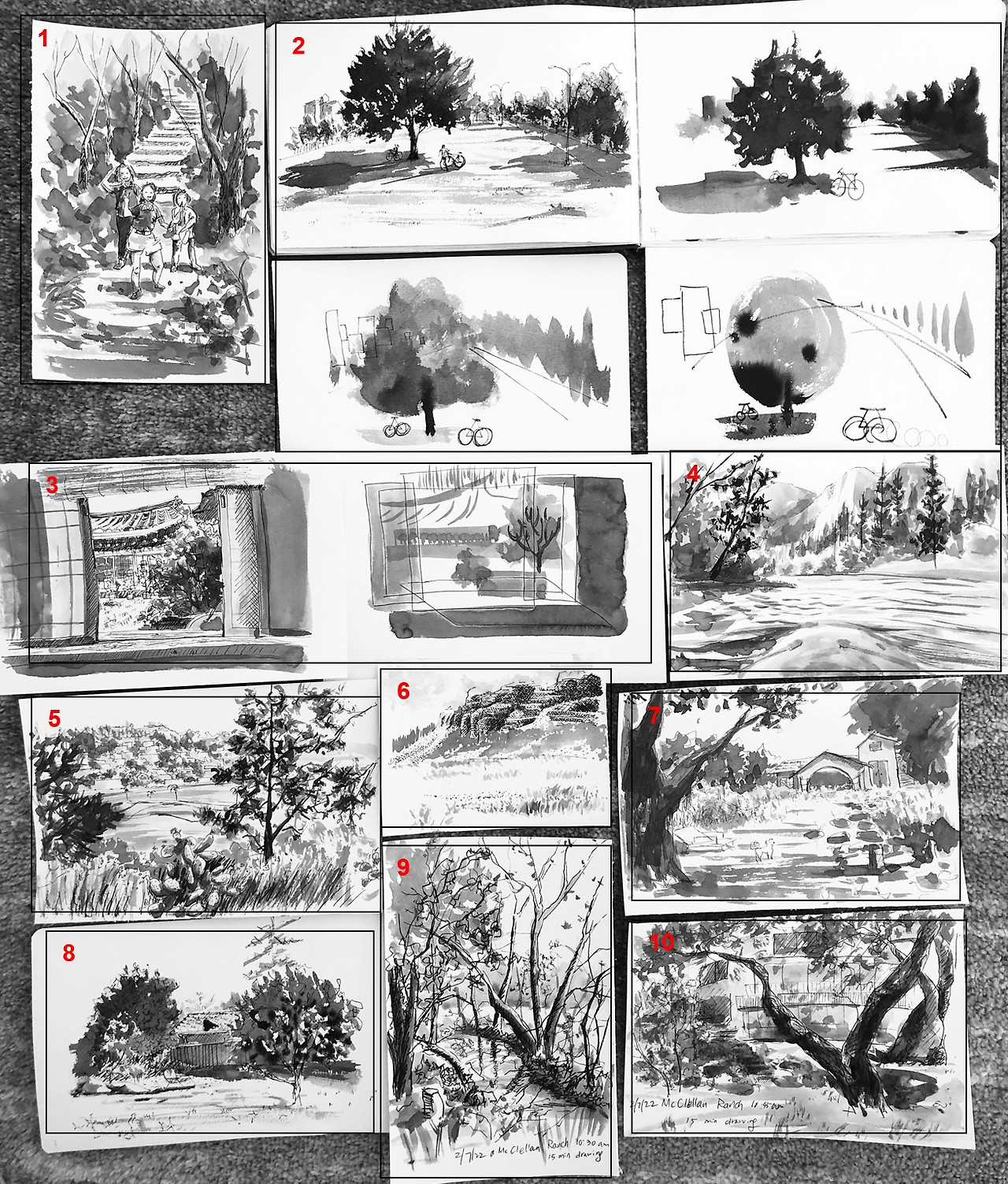 wk6_assign_landscape drawings for discussion.jpg