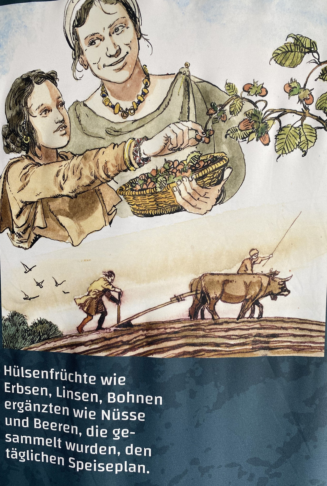 선사시대 쟁기질1.jpg