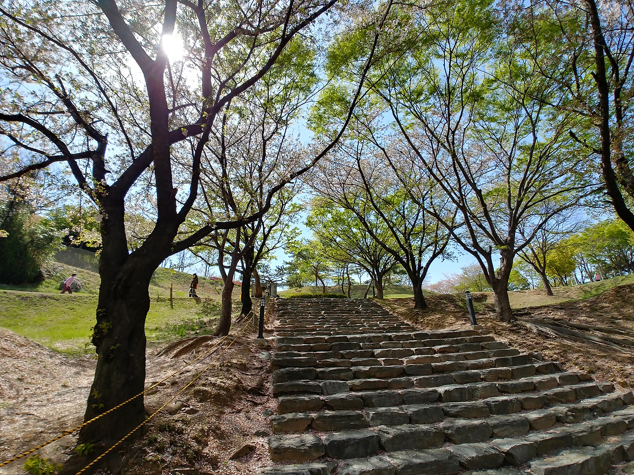 20180409_141730_HDR.jpg