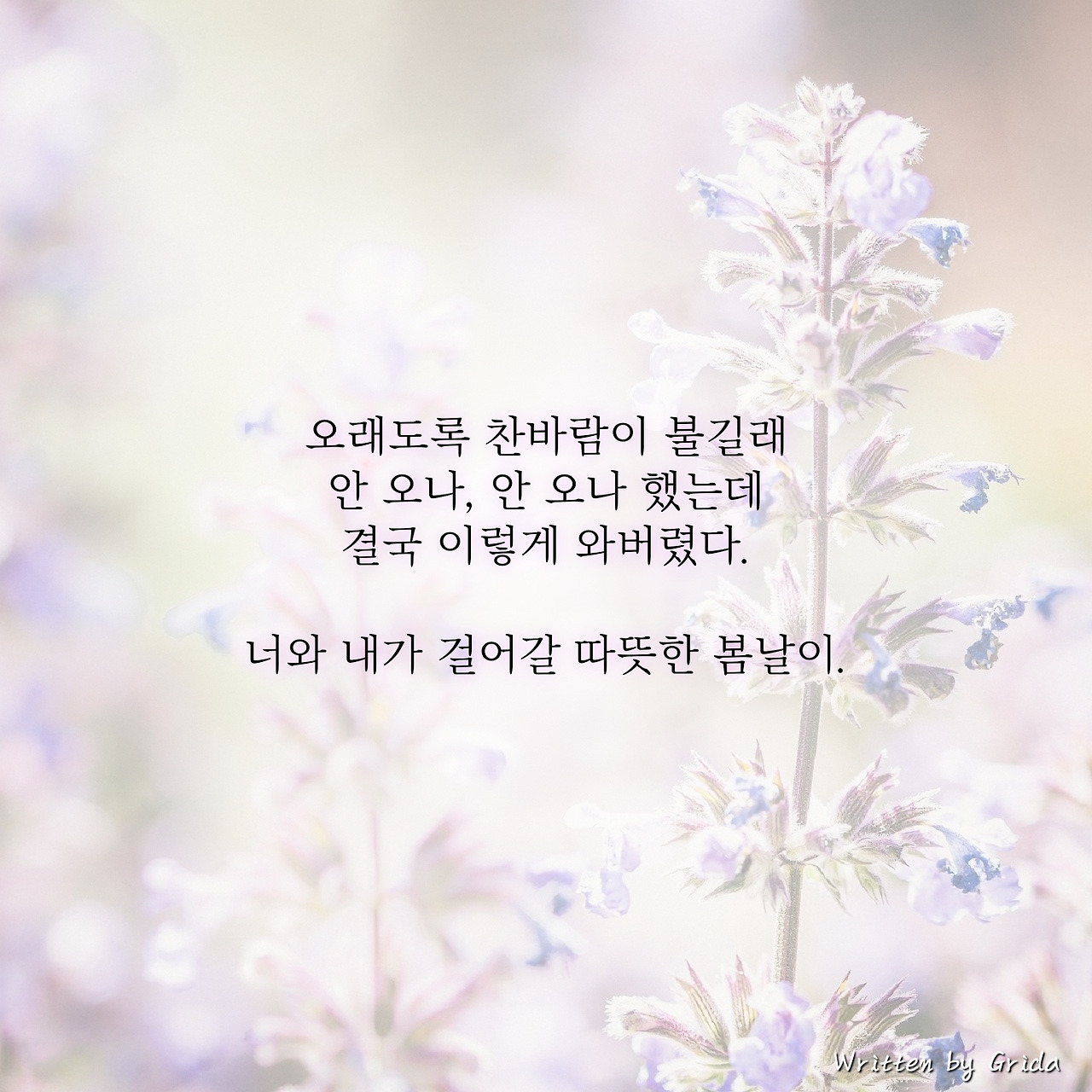 너와 나의 봄날