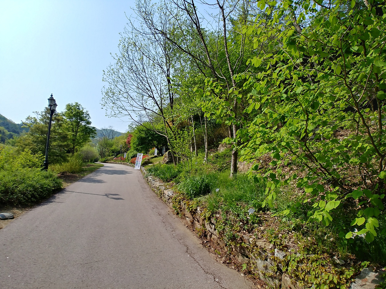 20190504_095129_HDR.jpg