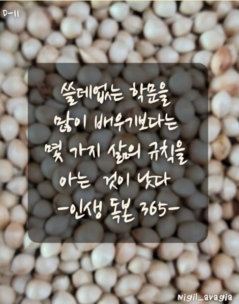 쓸데없는 지식.jpg