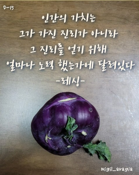 15.인간의 가치.jpg