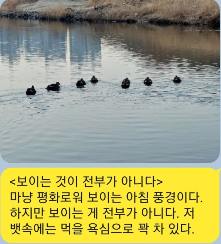 KakaoTalk_20230124_072214370.jpg