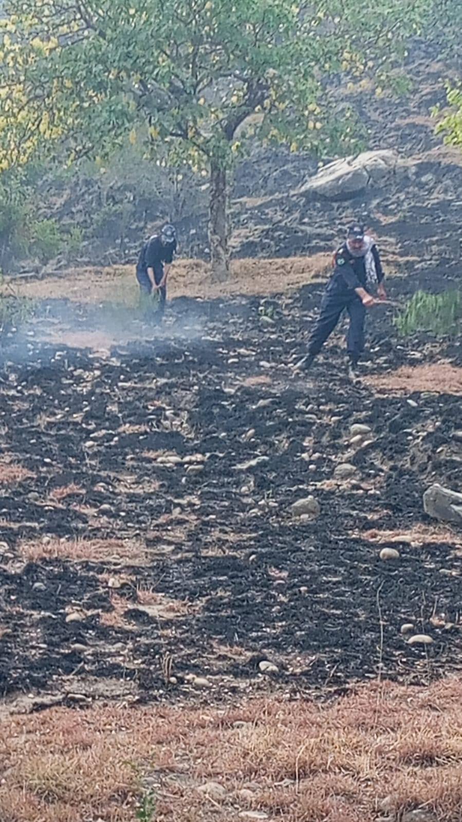 WhatsApp 이미지 2024-06-29, 18.42.34_aa021740.jpg