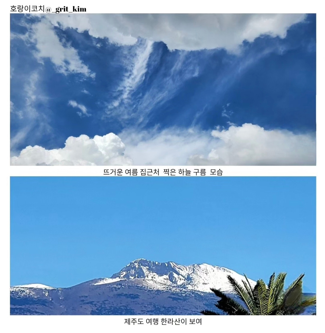 카지노 게임