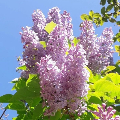 다운로드 (3).jpg