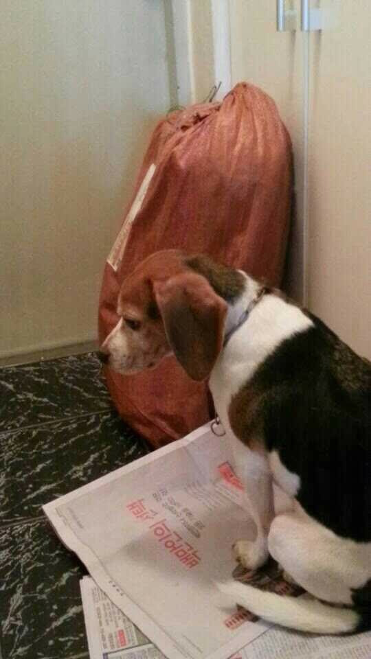 현관 밥앞에서.jpg