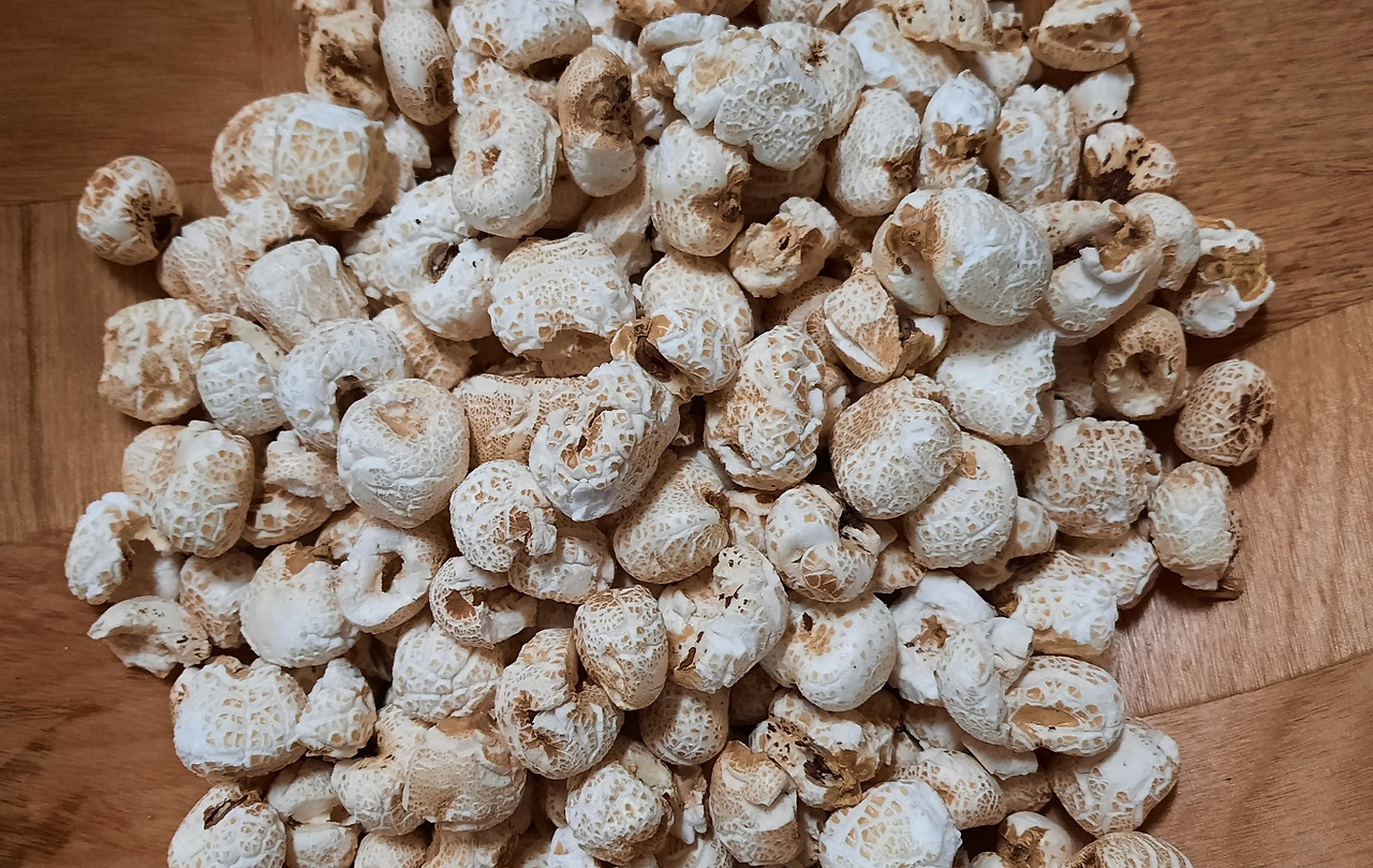 뻥튀기 시조.jpg