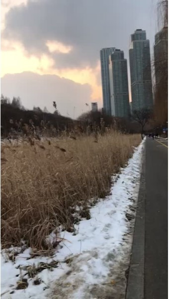 다운로드 (10).jpg