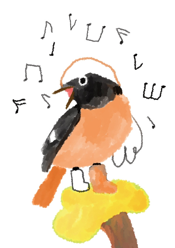 딱새의 노래 600.jpg