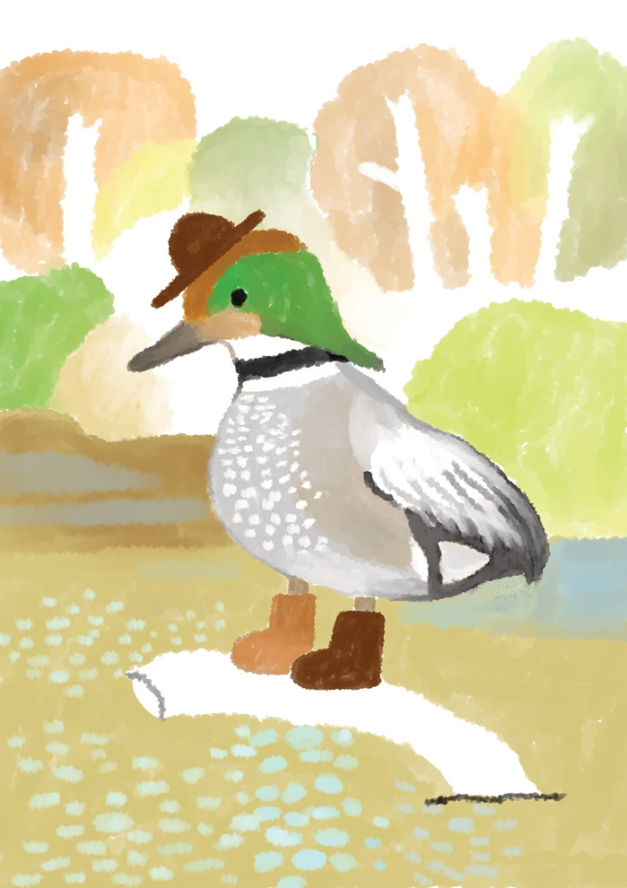 청머리오리 600.jpg