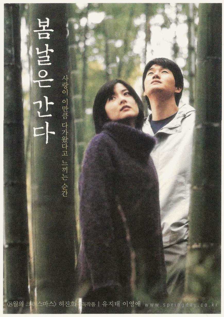 봄날은 간다. 묵호에서 라면 먹고 갈래?