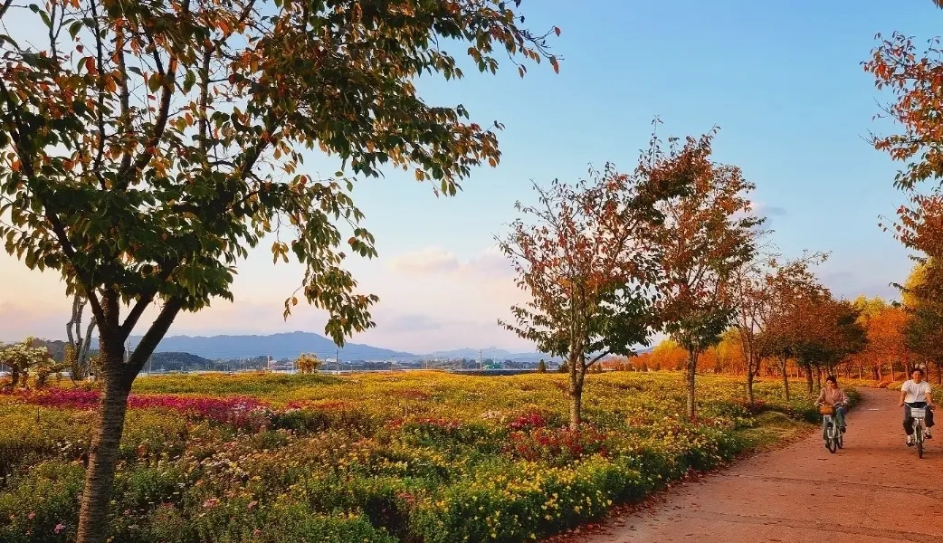13 축구장 66개 크기의 드넓은 부지에 각양각색의 꽃과 나무들로 가득한 거창 창포원..jpg