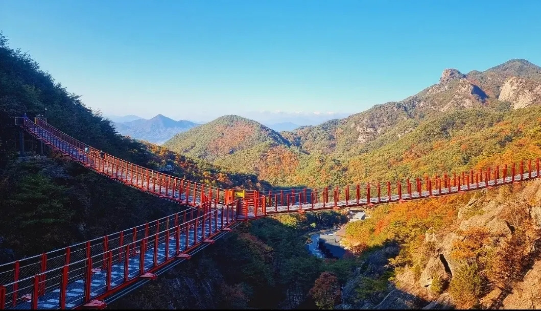 1 우두산 Y자 출렁다리의 모습.jpg