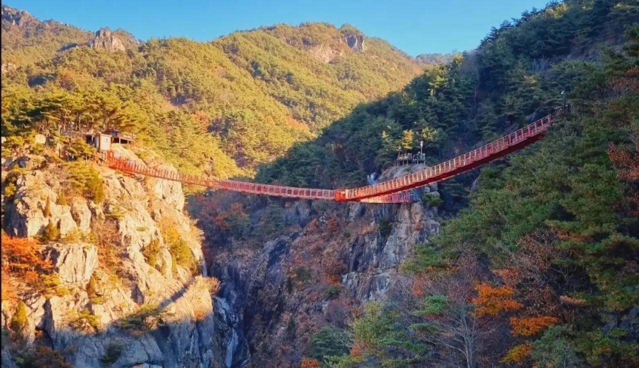 우두산 Y자 출렁다리의 가장 멋진 풍경을 감상하려면 녹음 가득한 여름이나 알록달록 형형색색으로 물든 가을에 방문하기를 추천한다..jpg