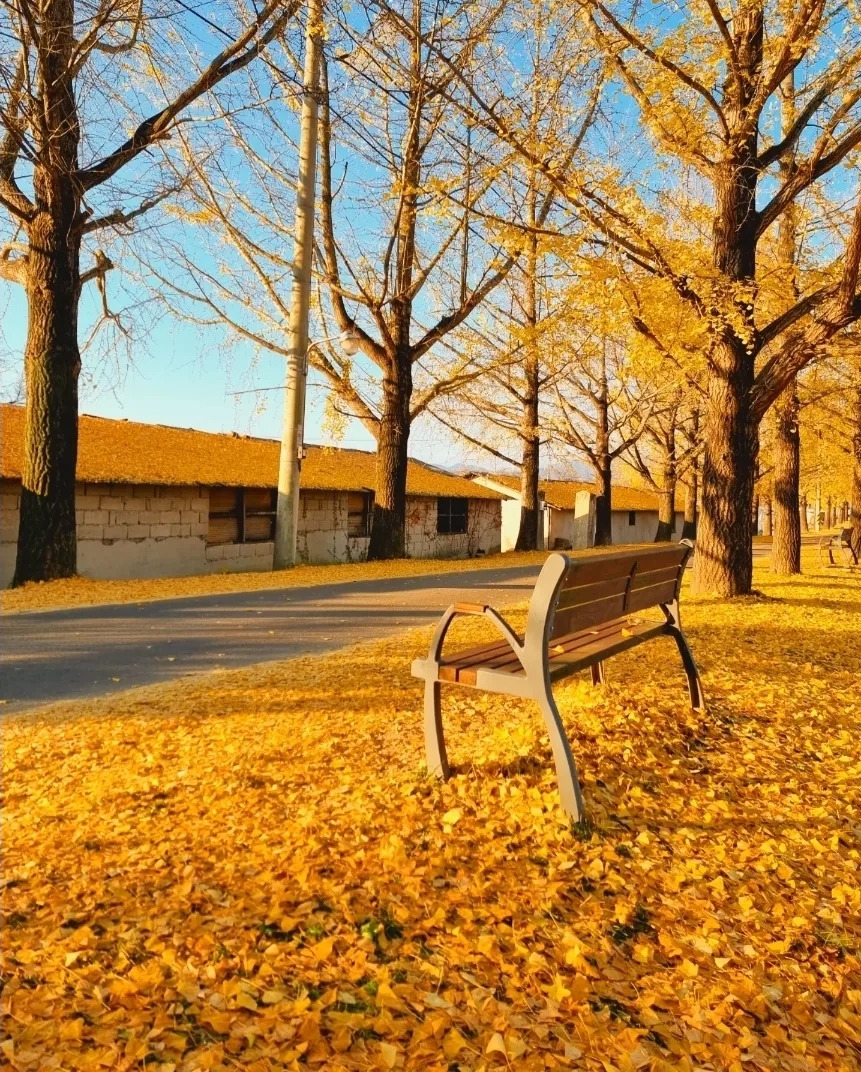 4 의동마을의 11월 늦가을 모습.jpg