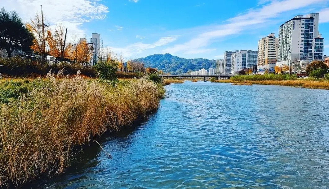 3 예전에는 지역민들이 이 하천에서 낚식대나 어망을 이용을 고기를 많이 잡았다고 한다. 지금은 그런 모습을 찾아보기 힘들었다..jpg