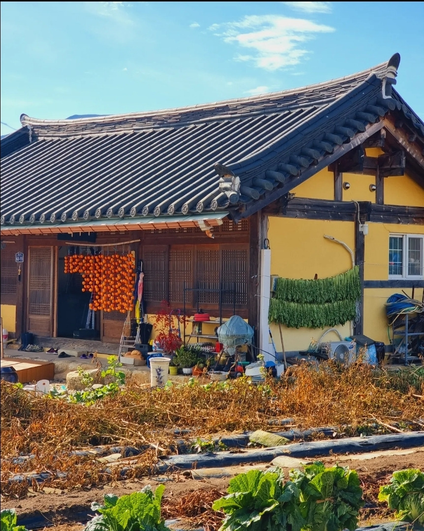 17 한옥마을 내에 실제 군민이 거주중인 모습.jpg