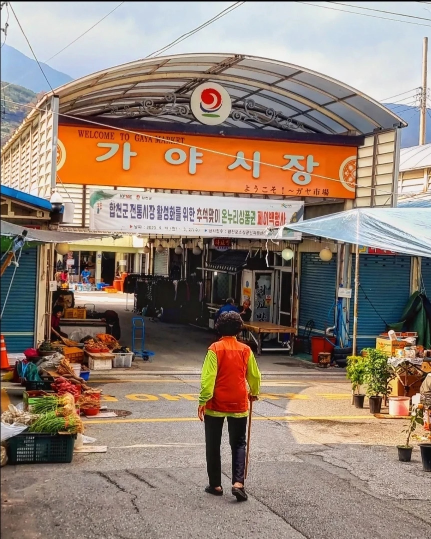 13 합천의 가야시장.jpg