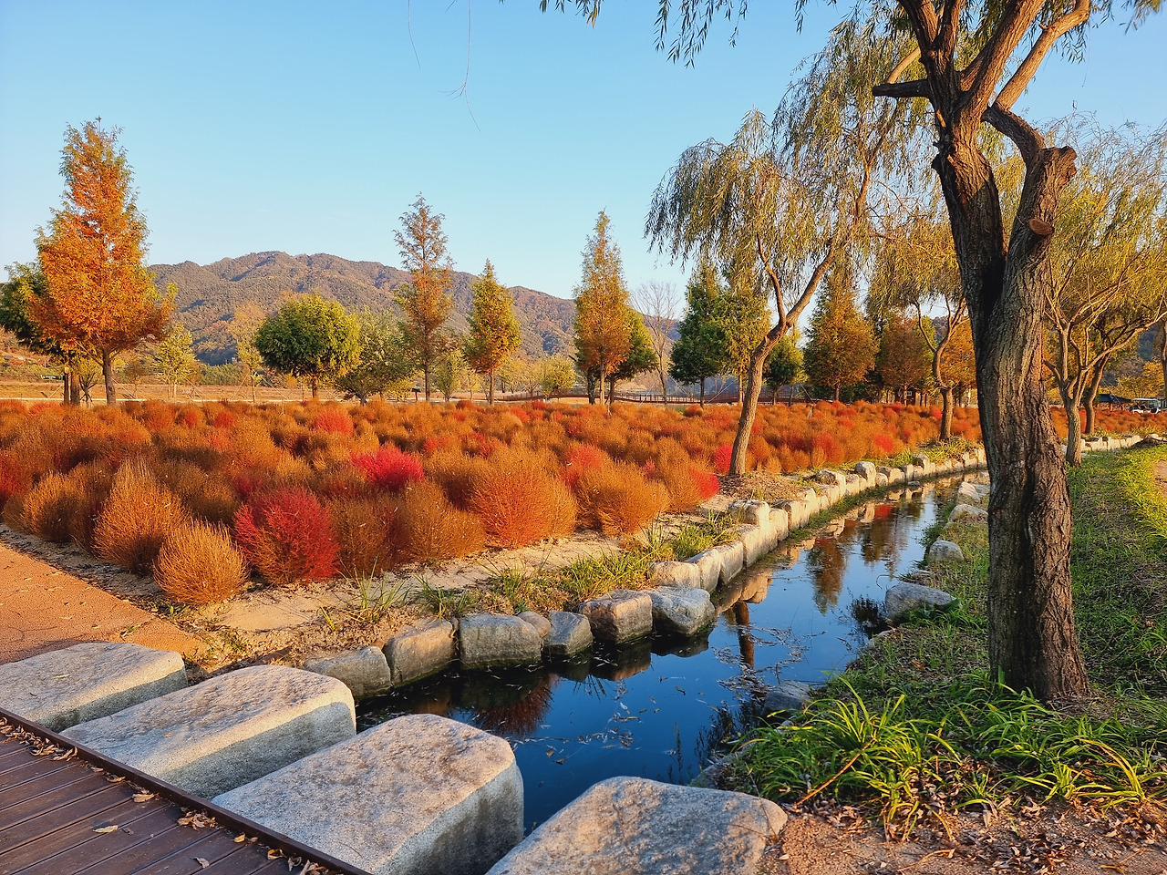 10 창포원 어디를 걷든 눈에 보이는 모든 풍경을 대충 찍어도 그림같은 작품이 되는 곳..jpg