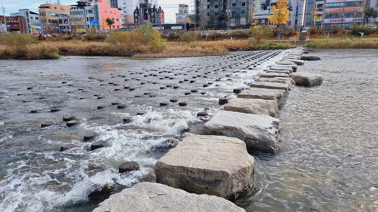 5 하천의 곳곳에 징검다리가 있어 반대편으로 수월하게 건널 수 있다..jpg