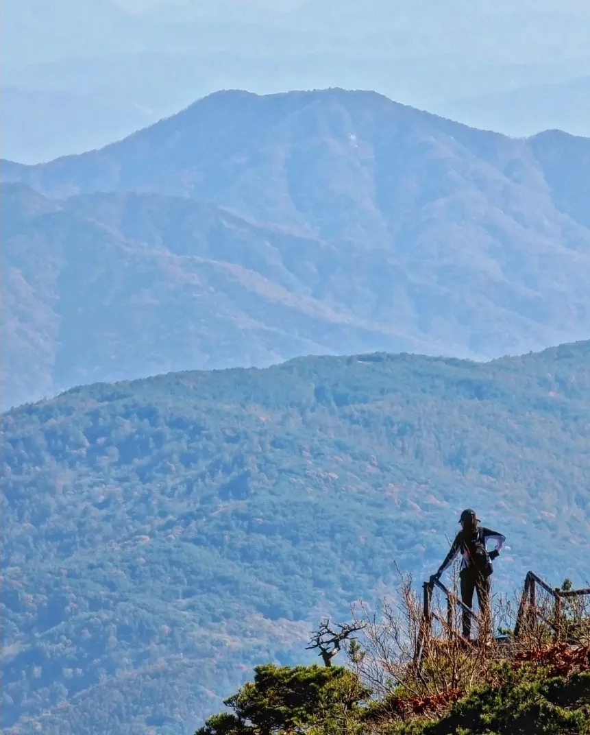 9 정상이 가까워질 무렵 맞은편 산 능성이를 바라보며 휴식을 취하고 있는 어느 등산객.jpg