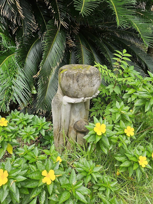 iriomote hotel 4.jpg