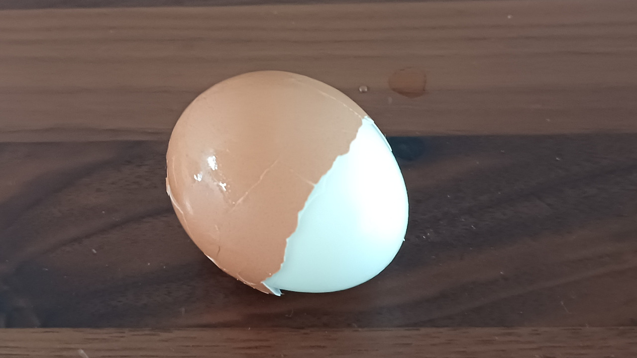 20240311_120156.jpg