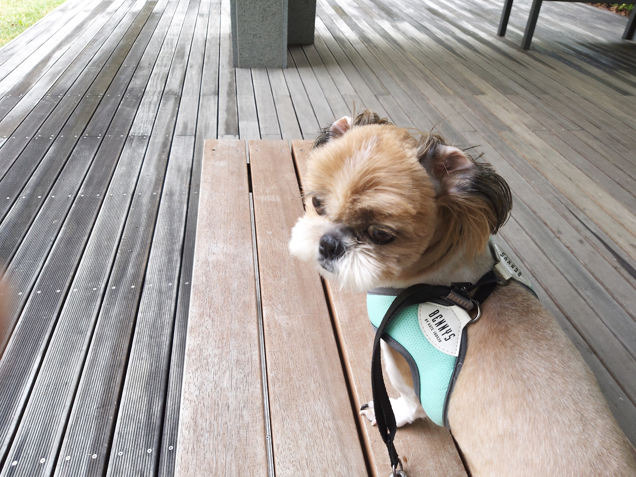 20190424_123239.jpg