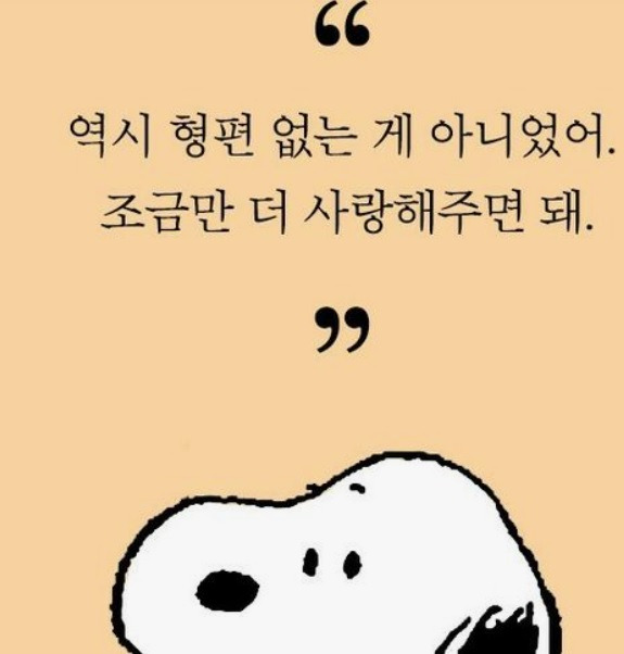 역시.jpg