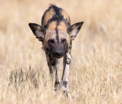 다운로드 (3).jpg