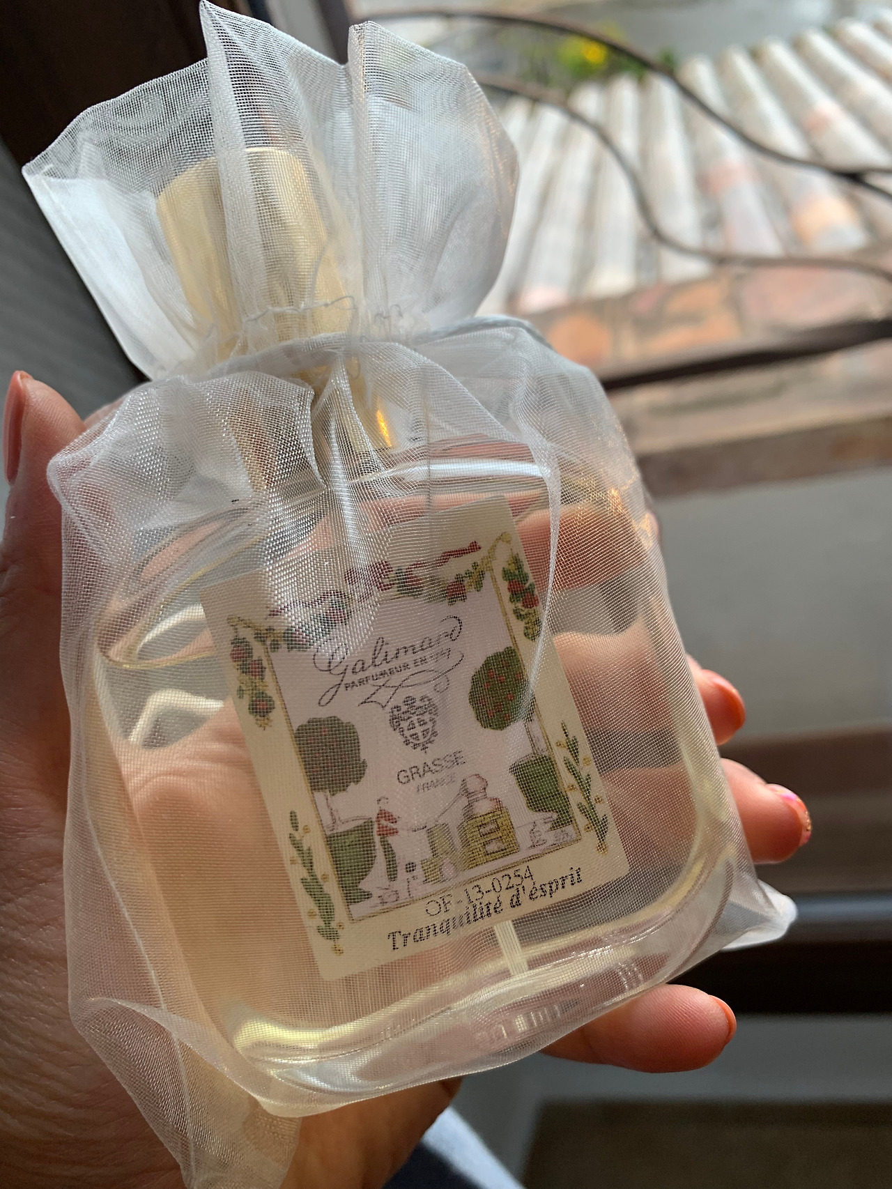 사진 2019. 5. 4. 오전 2 04 54.jpg