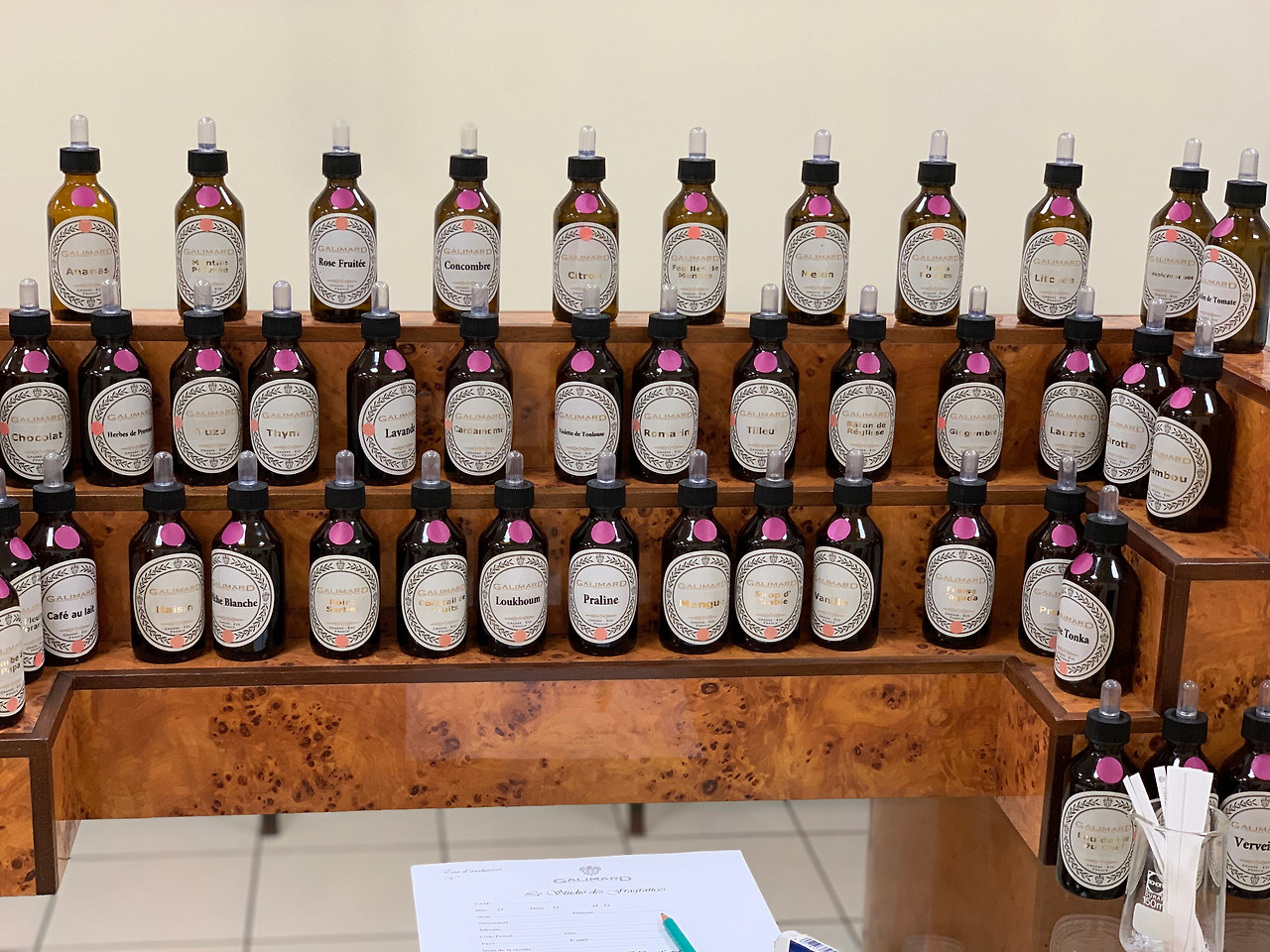 사진 2019. 5. 3. 오후 11 09 51.jpg